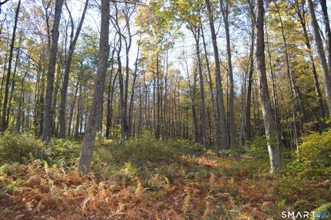 Tiny photo for Lot 13A, Somers Turnpike, Woodstock, CT 06281 (MLS # 24145820)