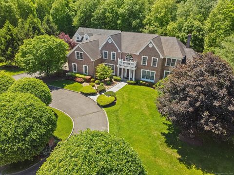 6 Pond View Drive Newtown CT 06470