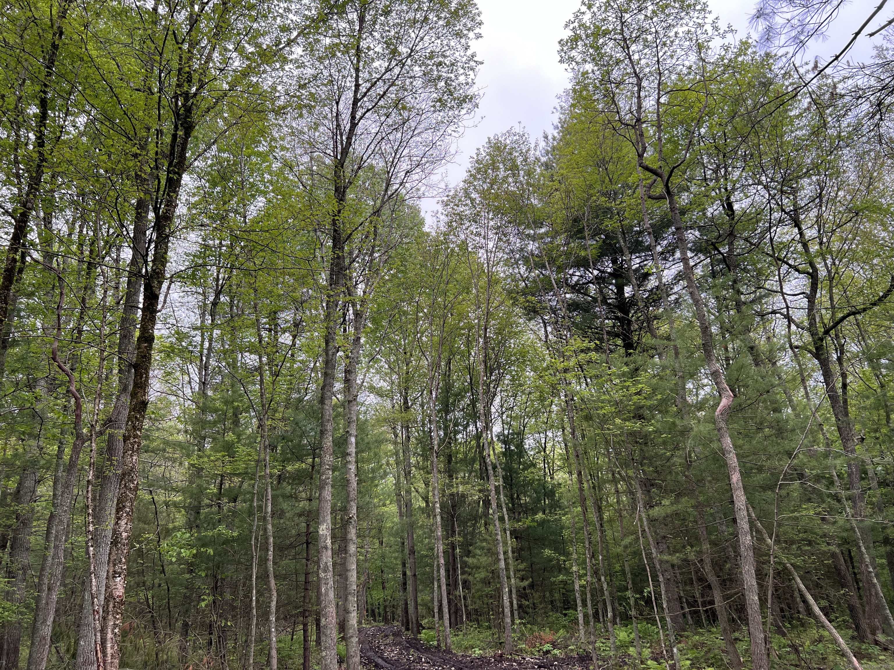 115 Coomer Hill Road