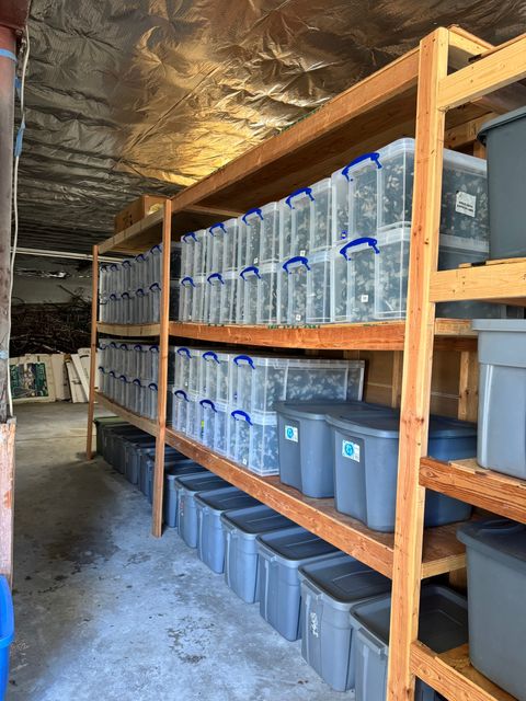 Tiny photo for 19 Sandscreen Road #Left Side, Avon, CT 06001 (MLS # 24140100)