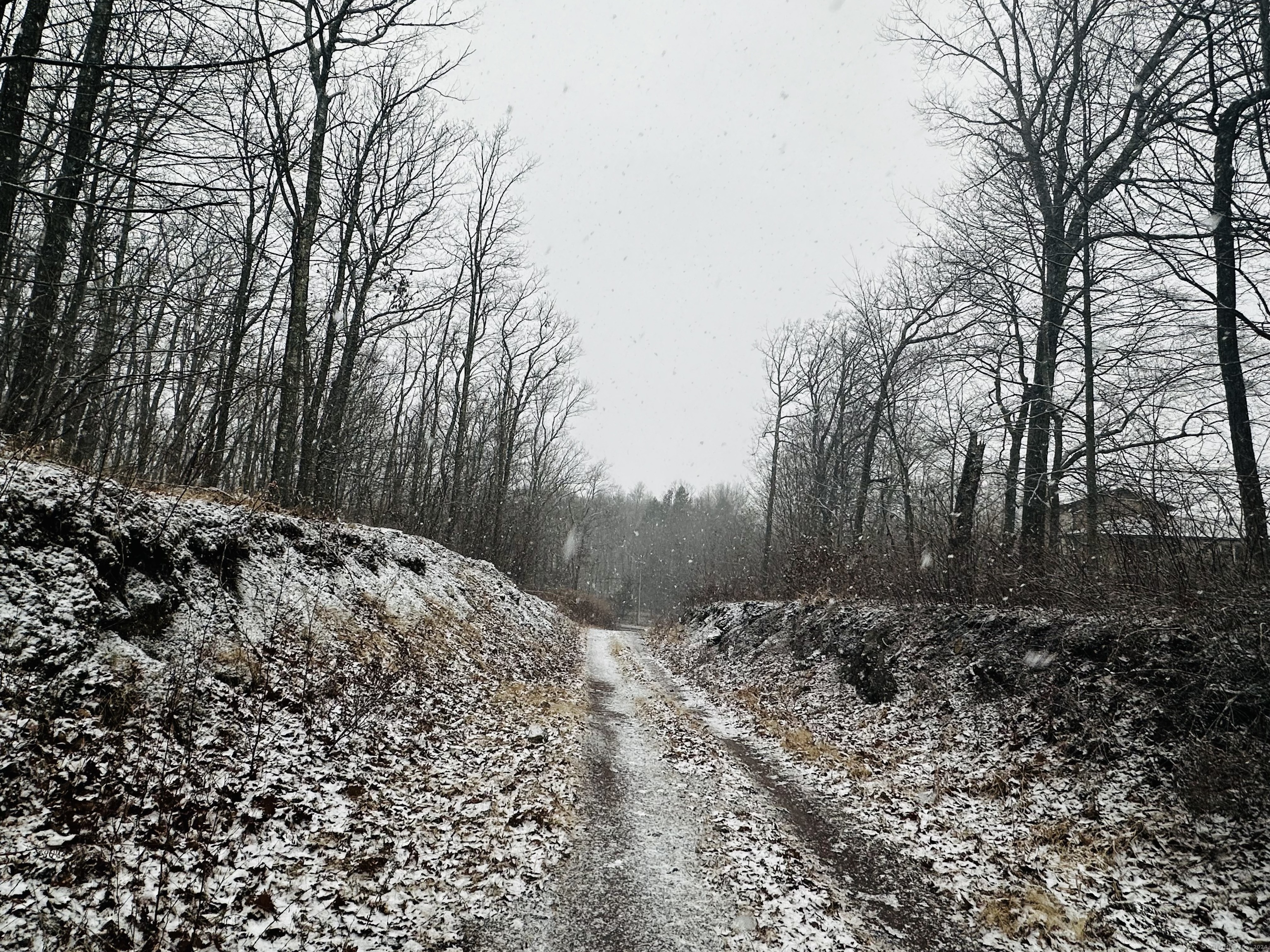 Arbutus Street, Middletown, Connecticut image 4