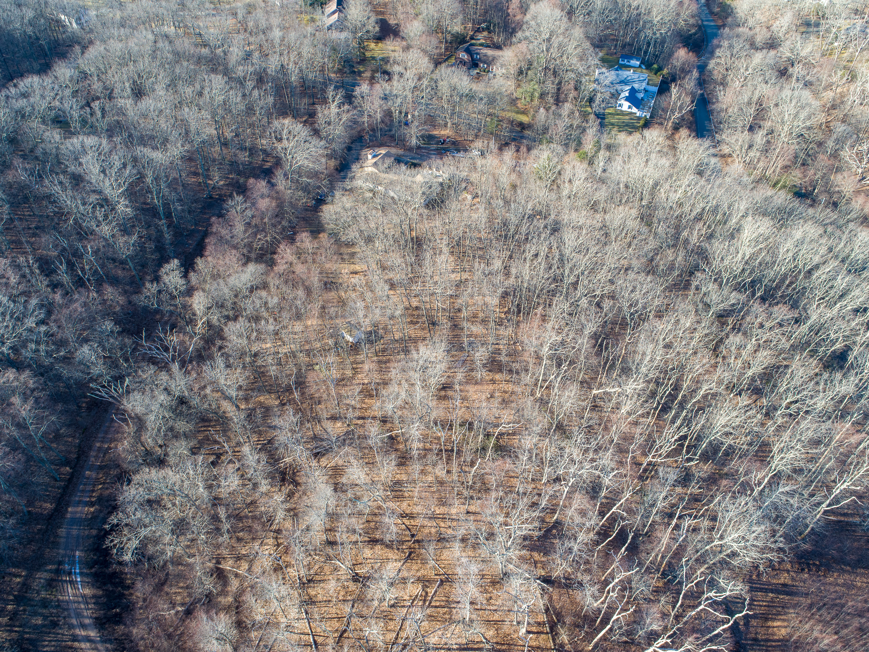 Arbutus Street, Middletown, Connecticut image 11
