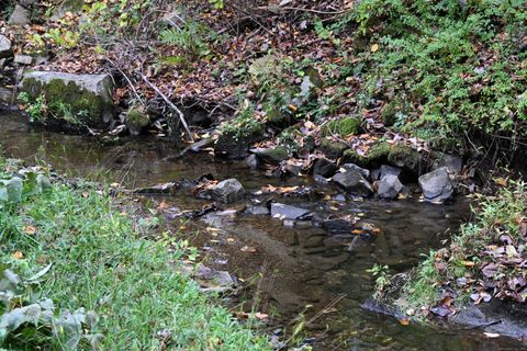 Tiny photo for 103 Geer Mountain Road, Kent, CT 06785 (MLS # 24131797)