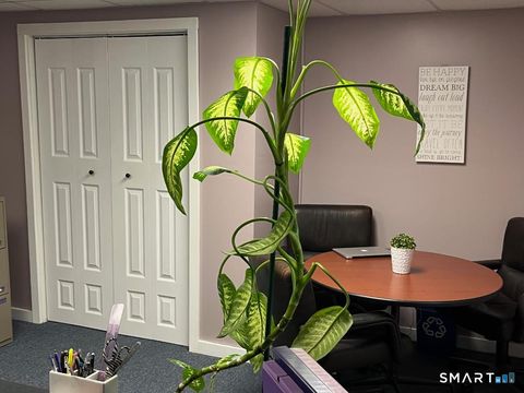 Tiny photo for 284 Merrow Road, Tolland, CT 06084 (MLS # 24170428)