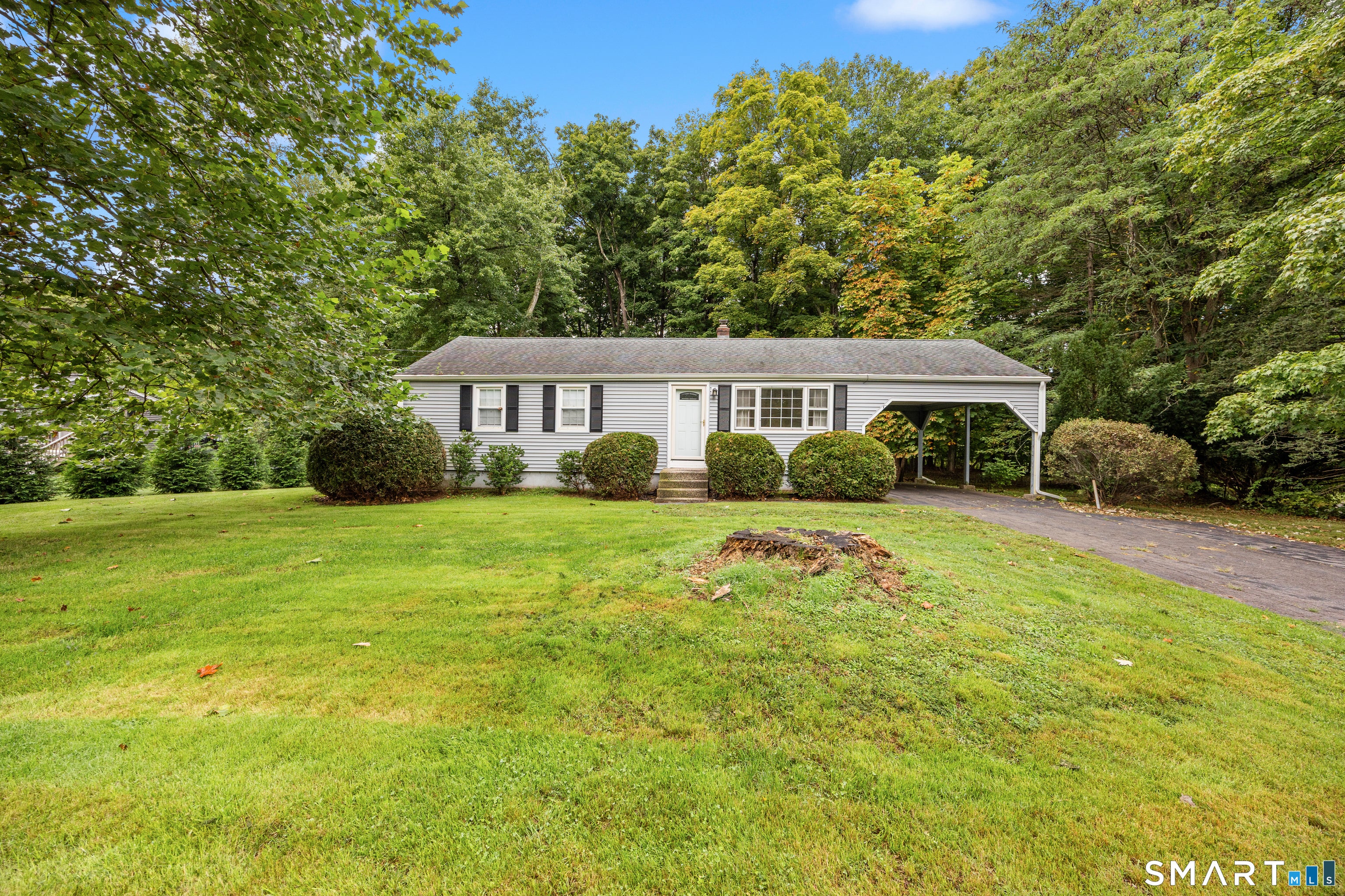 233 Forest Lane