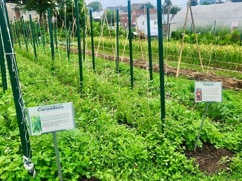 Tiny photo for 46 Fairgate Drive, Stamford, CT 06902 (MLS # 24154014)