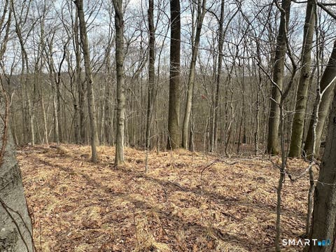 Tiny photo for 40 Frenchmans Road, New Milford, CT 06776 (MLS # 24168108)