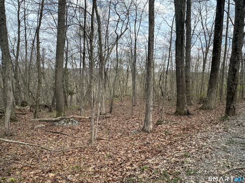 Tiny photo for 40 Frenchmans Road, New Milford, CT 06776 (MLS # 24168108)