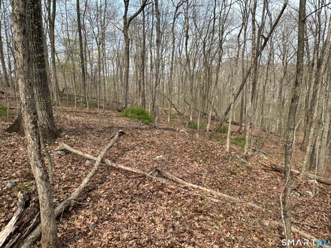 Tiny photo for 40 Frenchmans Road, New Milford, CT 06776 (MLS # 24168108)