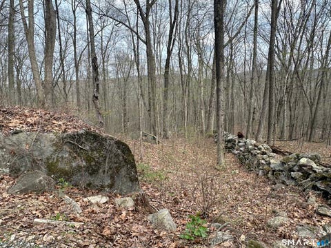 Tiny photo for 40 Frenchmans Road, New Milford, CT 06776 (MLS # 24168108)
