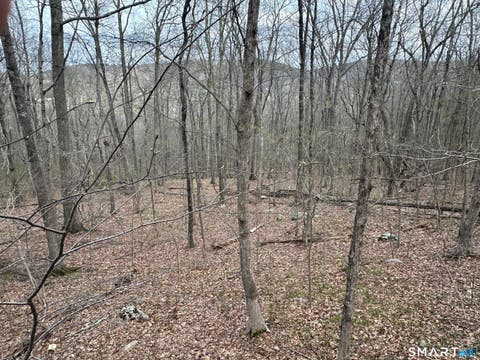 Photo of 40 Frenchmans Road, New Milford, CT 06776 (MLS # 24168108)