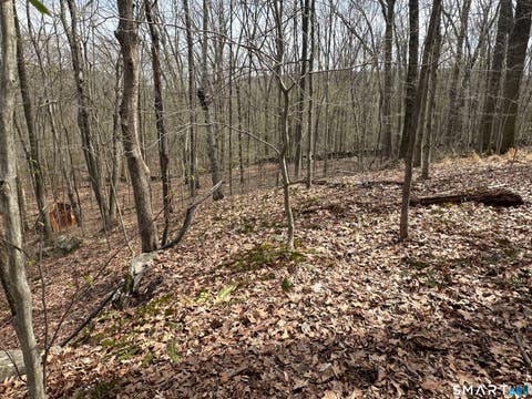 Tiny photo for 40 Frenchmans Road, New Milford, CT 06776 (MLS # 24168108)