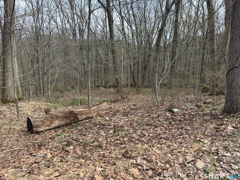 Tiny photo for 40 Frenchmans Road, New Milford, CT 06776 (MLS # 24168108)