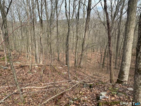 Tiny photo for 40 Frenchmans Road, New Milford, CT 06776 (MLS # 24168108)