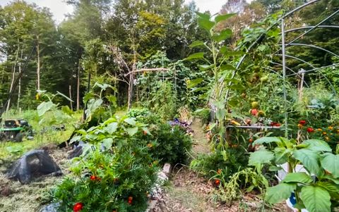 Tiny photo for 53 Skinner Hill Road, Andover, CT 06232 (MLS # 24142616)