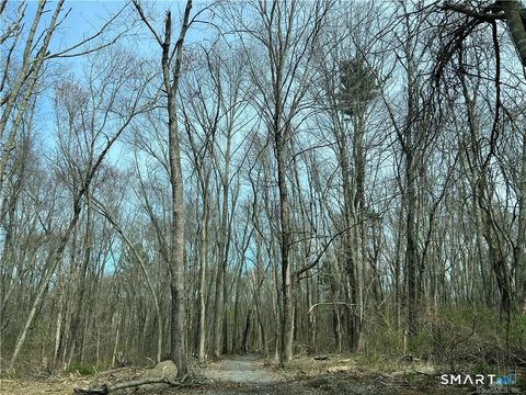 Tiny photo for 106 Church Street, Brooklyn, CT 06234 (MLS # 24171759)