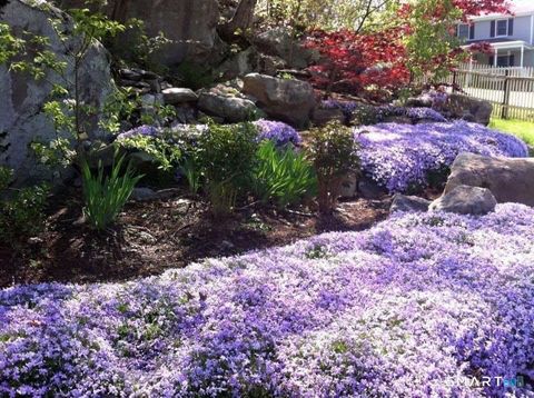 Tiny photo for 17 Patricia Court, Ledyard, CT 06335 (MLS # 24155425)