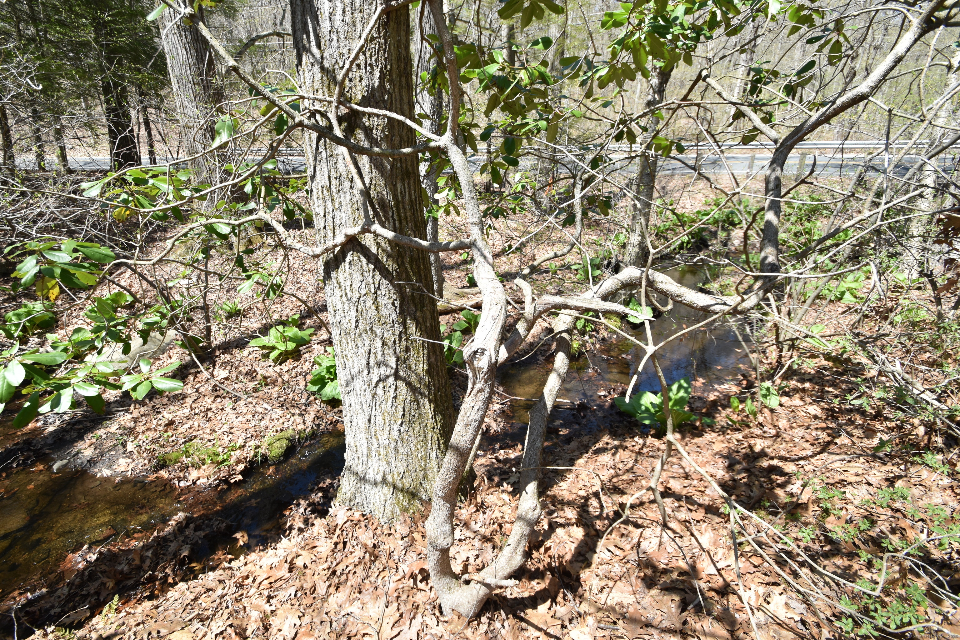 2 Converse Road, Bolton, Connecticut image 4
