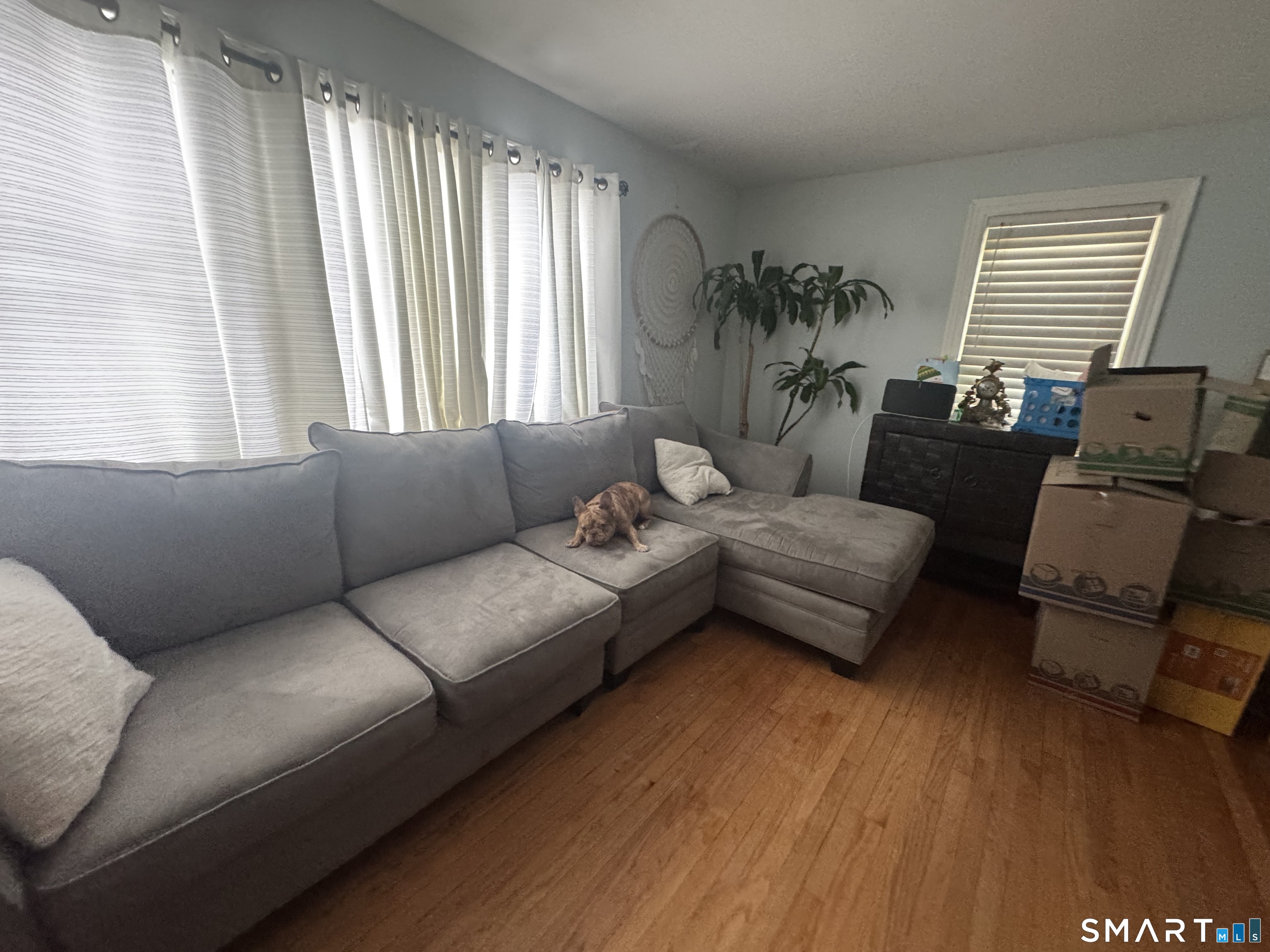 1730 Quinnipiac Avenue