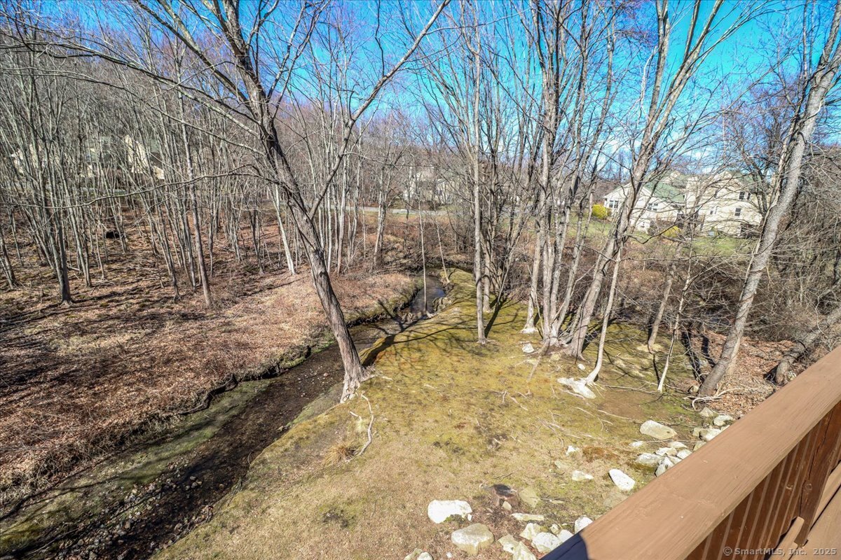 19 Sullivan Farm Road #19, New Milford, Connecticut image 15