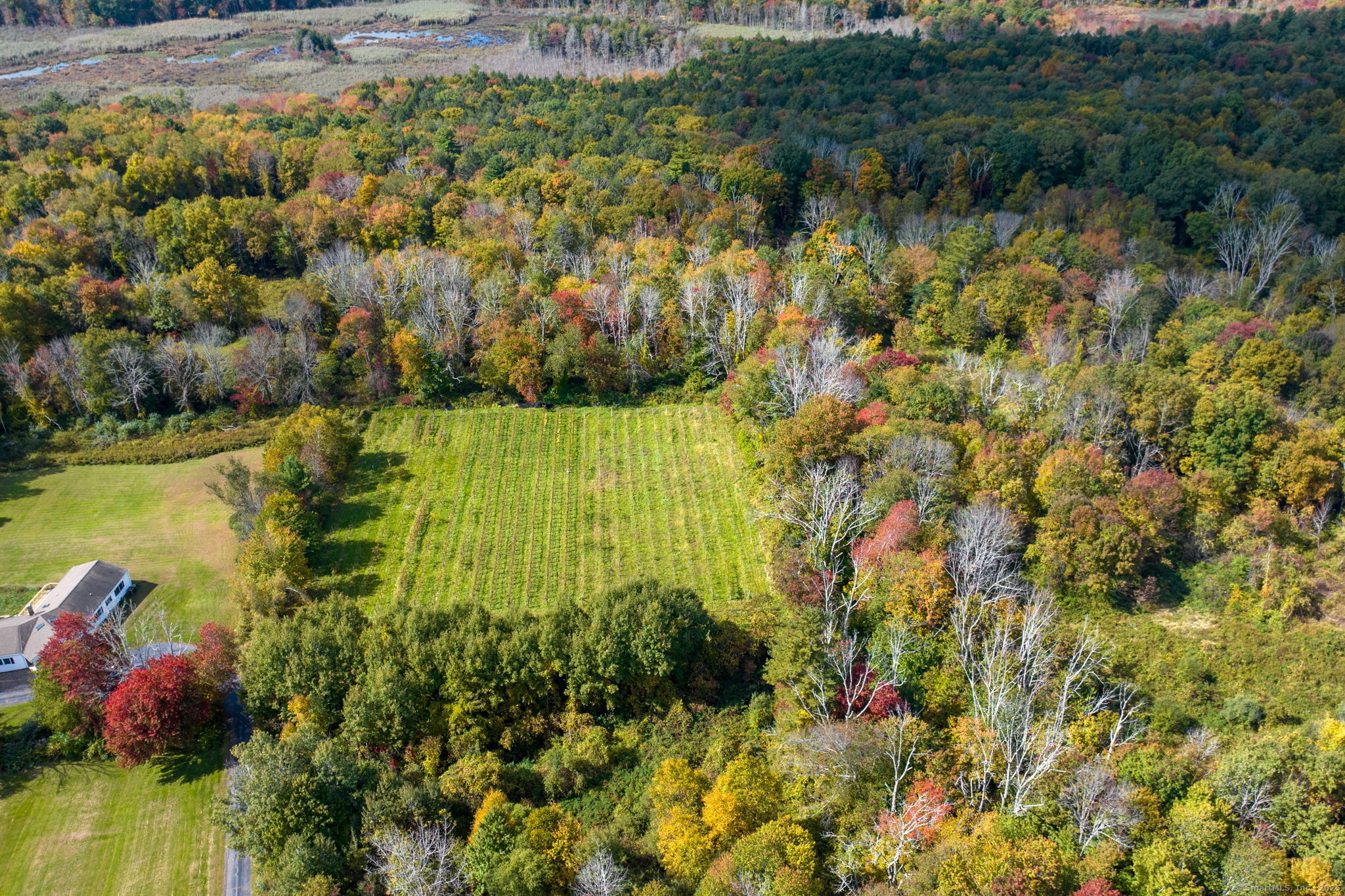 Woodchuck Lane, Harwinton, Connecticut -  - 