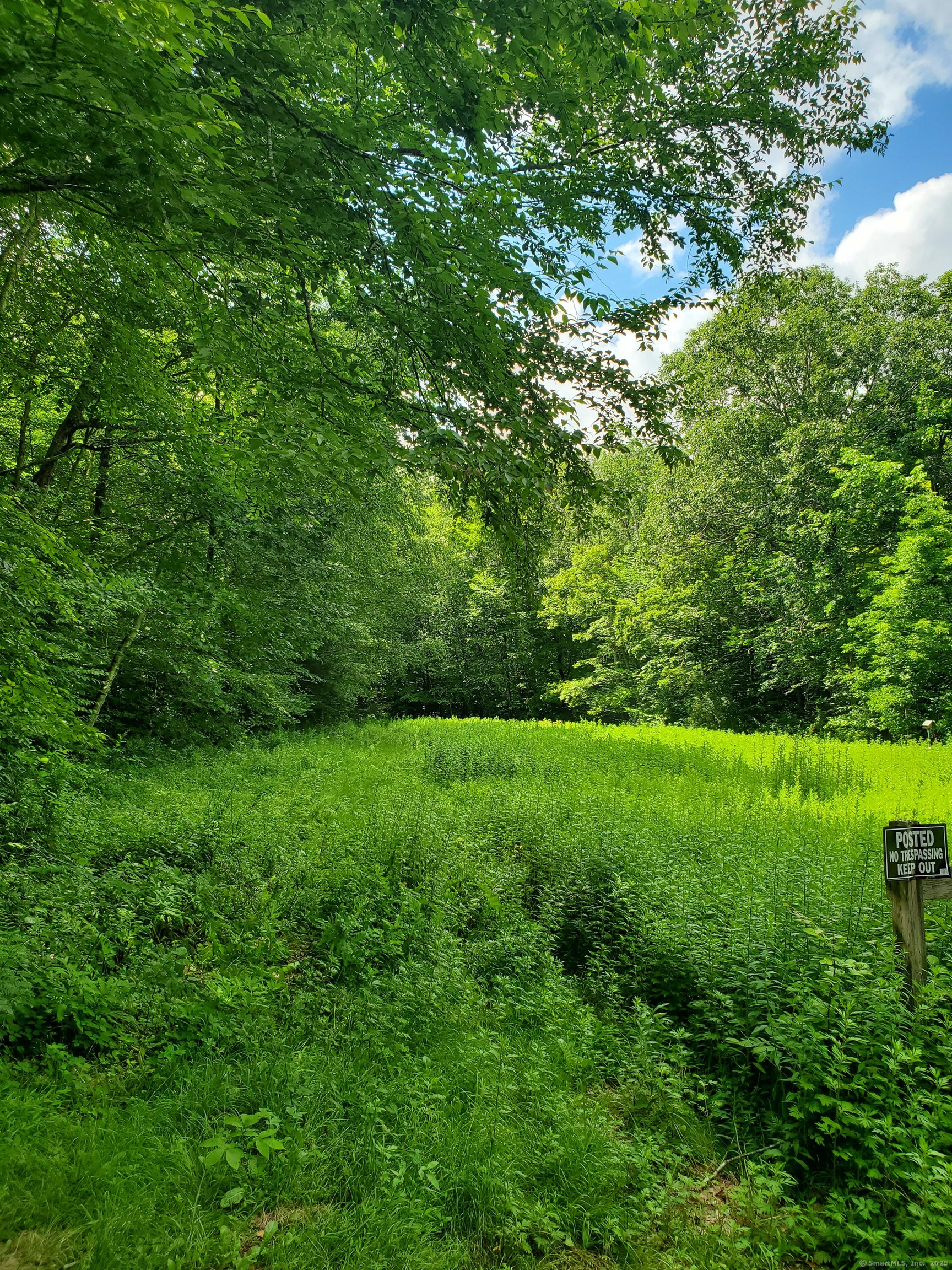 Lot 4A Weeks Road West