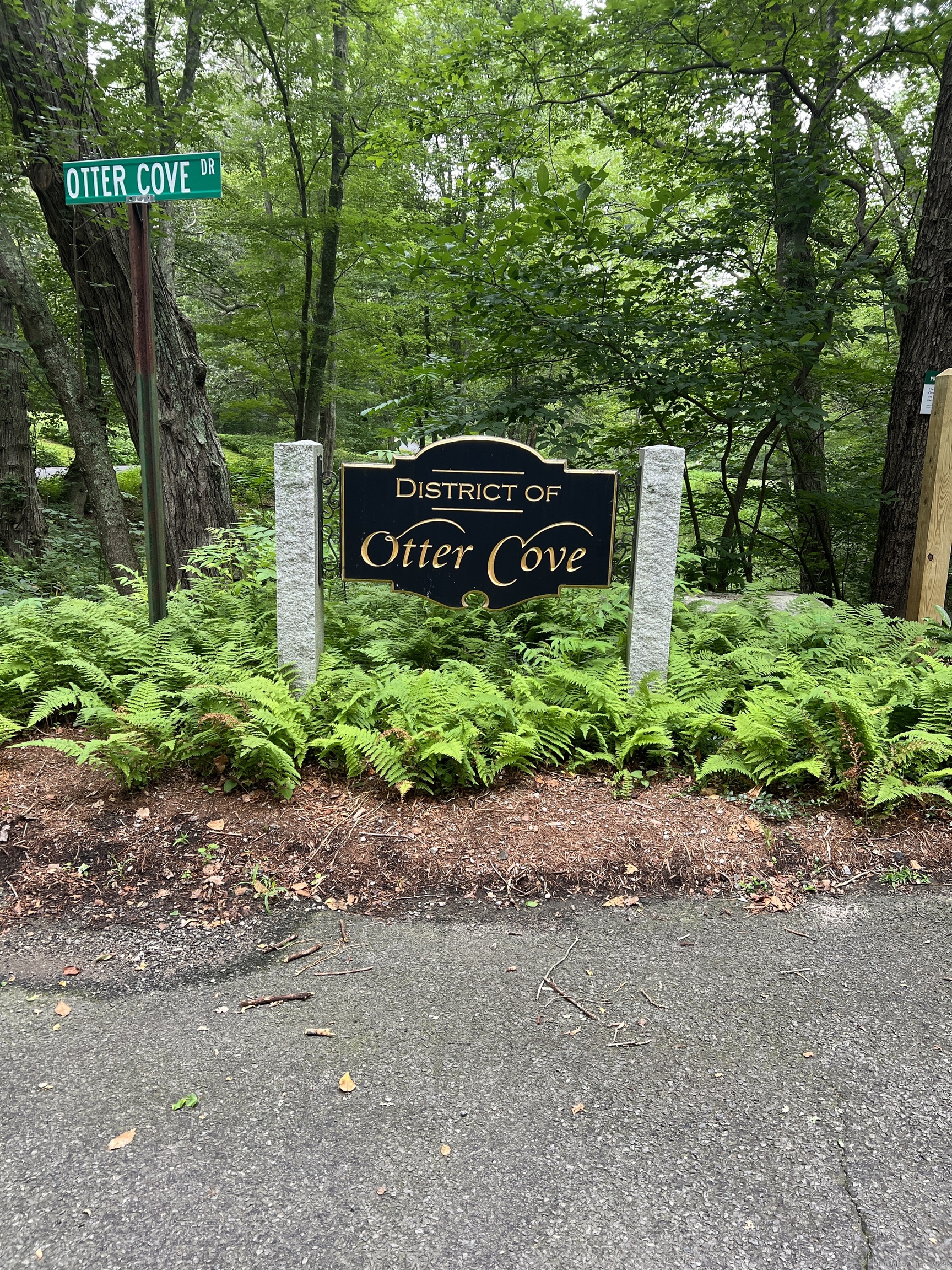 64 Otter Cove Drive Lot #2 PKG
