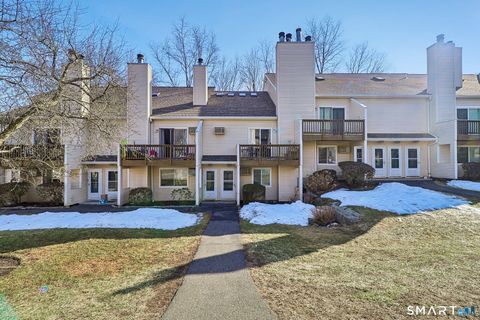 8 Rose Lane APT 24-5 Danbury CT 06811