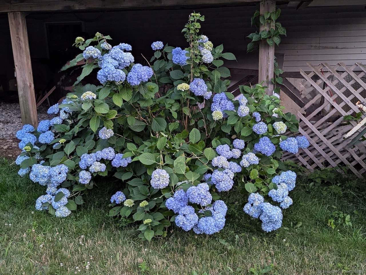 33 Meadow Lane, Salem, Connecticut image 38