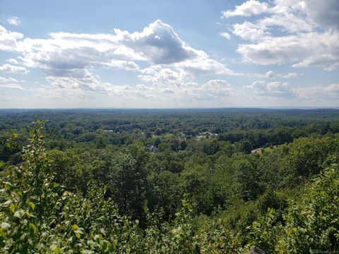 Vacant Land For Sale - 190 Root Road<br/> Somers, CT 06071