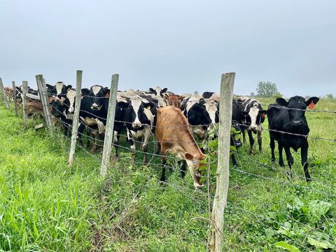 Tiny photo for 182 Magnolia Hill Road, Bethlehem, CT 06751 (MLS # 24153138)