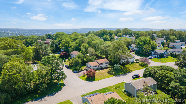 241 White Birch Drive