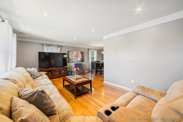 241 White Birch Drive