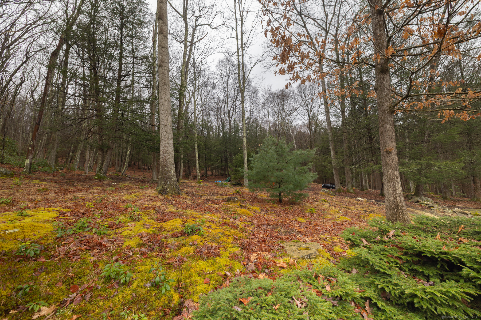 20 Meyers Road, Plymouth, Connecticut image 36