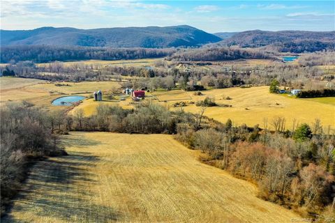 A home in Amenia