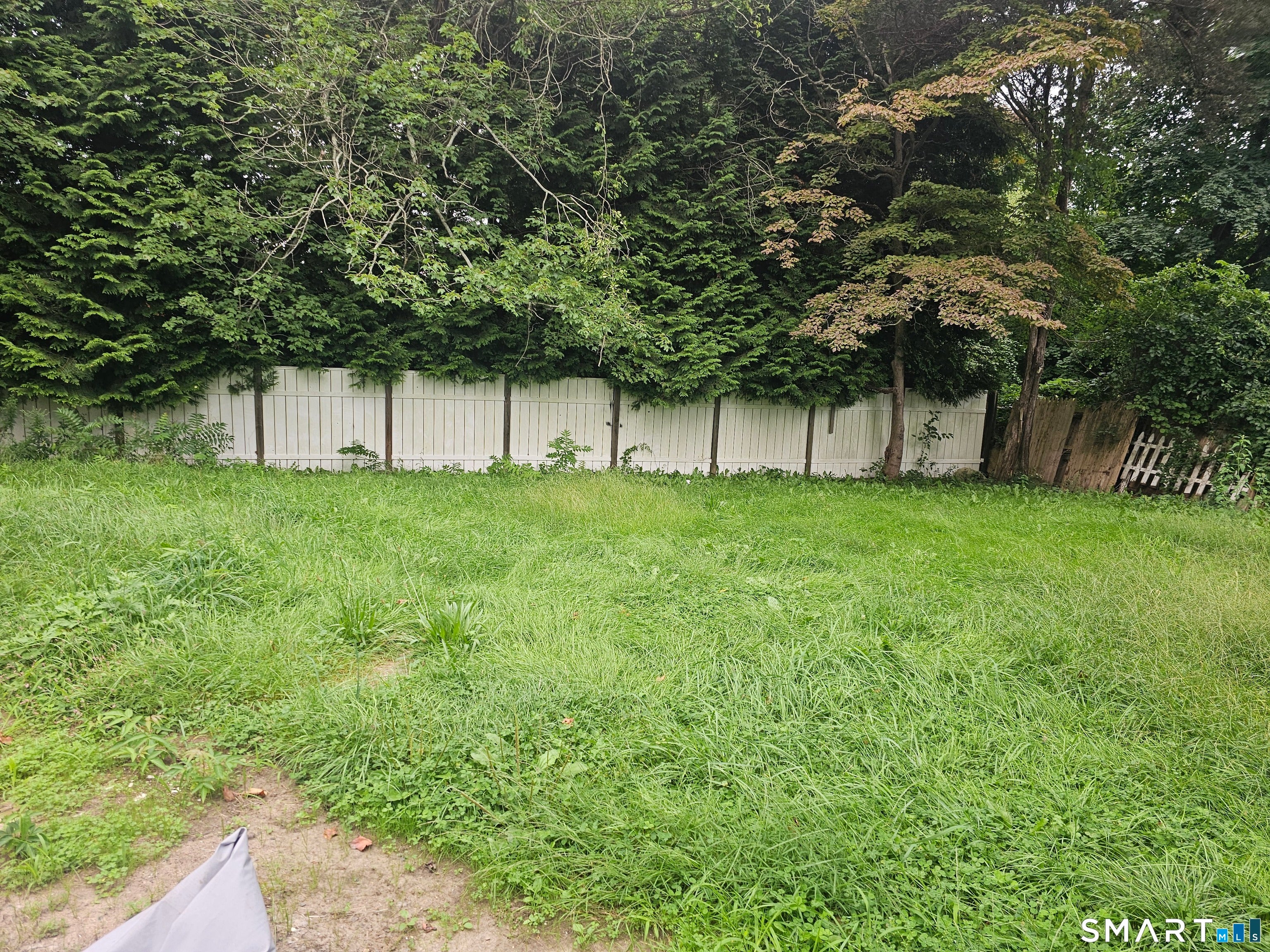 377 Jefferson Avenue