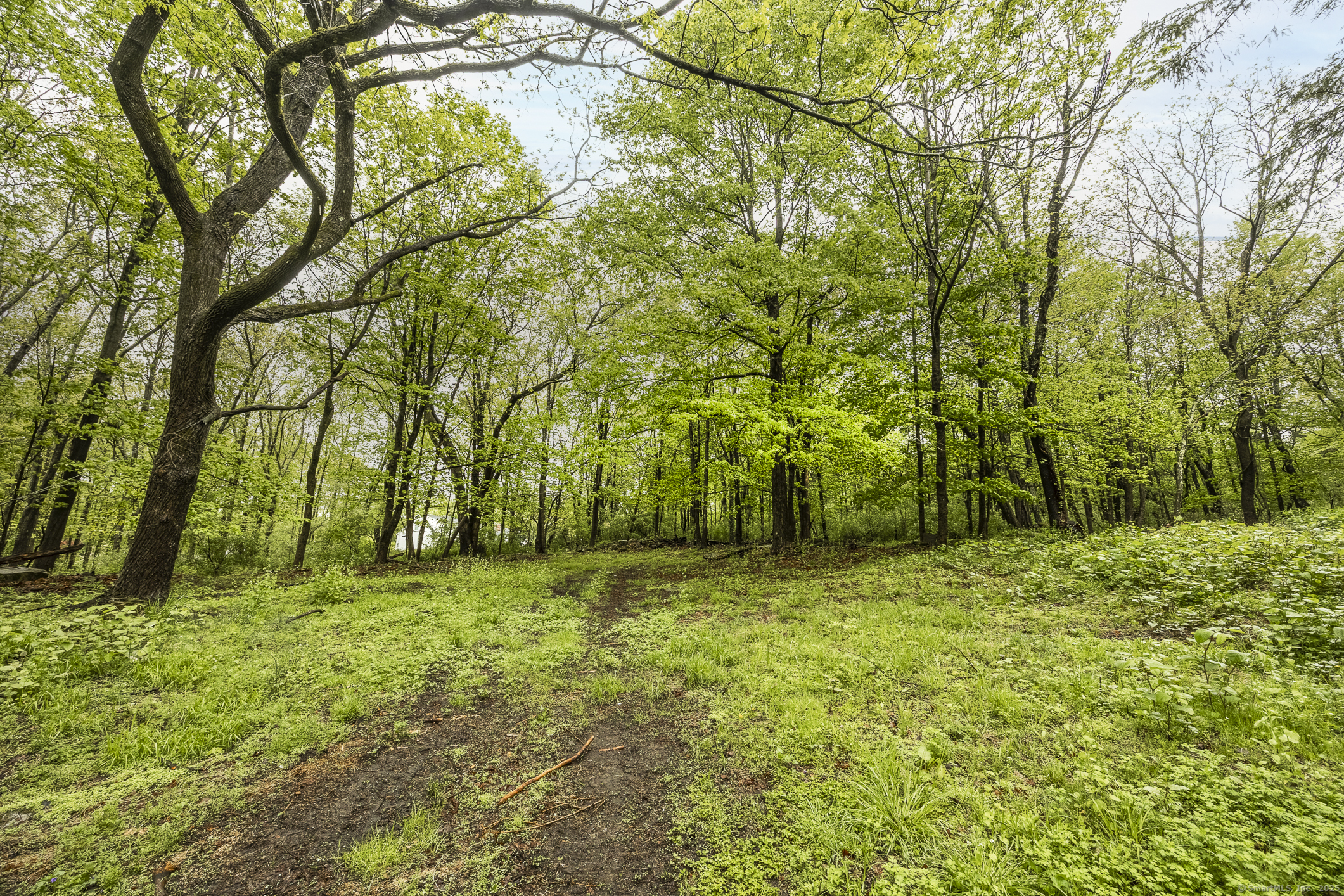 52 Curtis Road, Bridgewater, Connecticut image 7