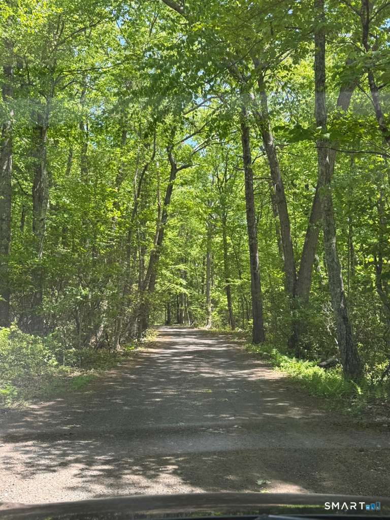 Bunker Hill Road