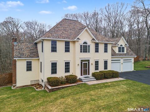 12 Fox Run Columbia CT 06237