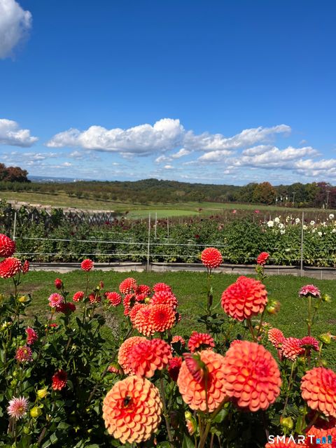 Tiny photo for 280-300 Matson Hill Road, Glastonbury, CT 06073 (MLS # 24164446)