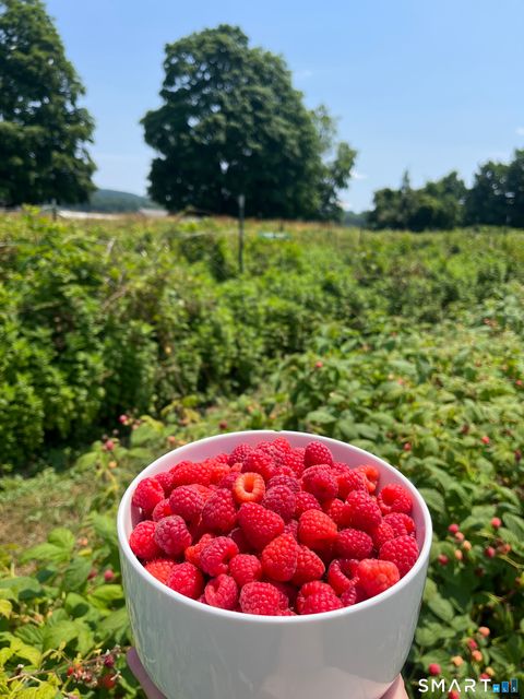 Tiny photo for 280-300 Matson Hill Road, Glastonbury, CT 06073 (MLS # 24164446)