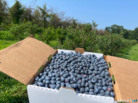 Tiny photo for 280-300 Matson Hill Road, Glastonbury, CT 06073 (MLS # 24164446)