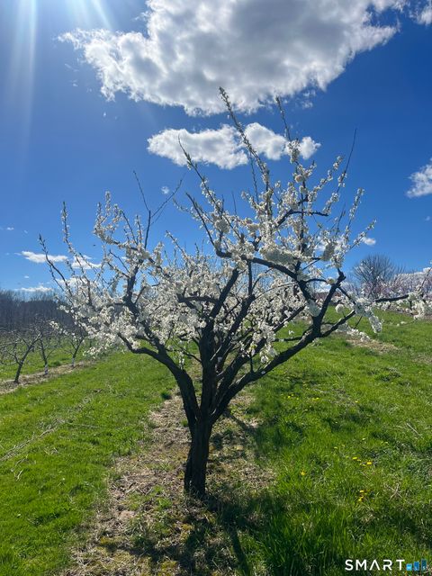 Tiny photo for 280-300 Matson Hill Road, Glastonbury, CT 06073 (MLS # 24164446)