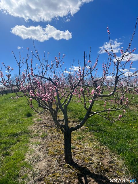 Tiny photo for 280-300 Matson Hill Road, Glastonbury, CT 06073 (MLS # 24164446)