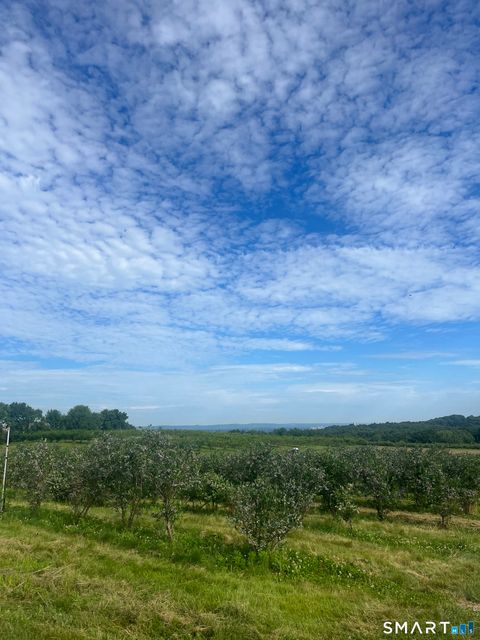 Tiny photo for 280-300 Matson Hill Road, Glastonbury, CT 06073 (MLS # 24164446)