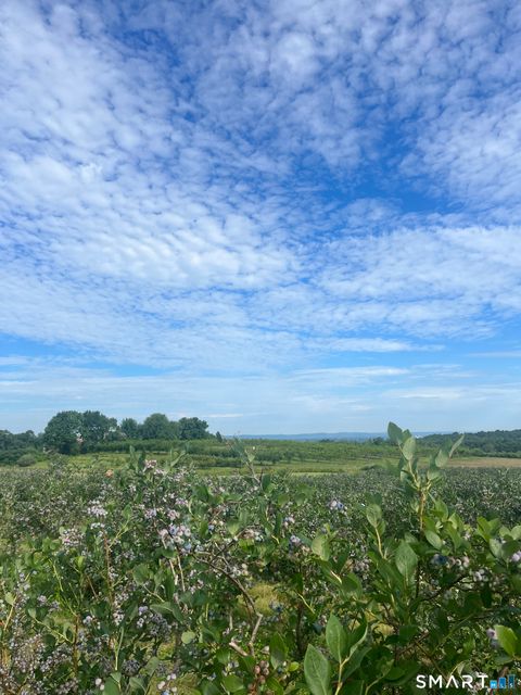 Tiny photo for 280-300 Matson Hill Road, Glastonbury, CT 06073 (MLS # 24164446)