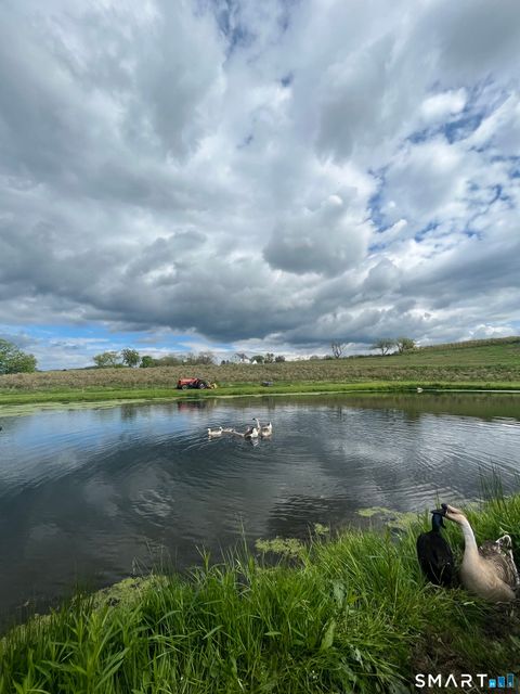 Tiny photo for 280-300 Matson Hill Road, Glastonbury, CT 06073 (MLS # 24164446)