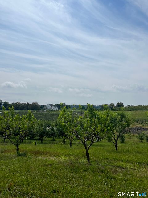 Tiny photo for 280-300 Matson Hill Road, Glastonbury, CT 06073 (MLS # 24164446)