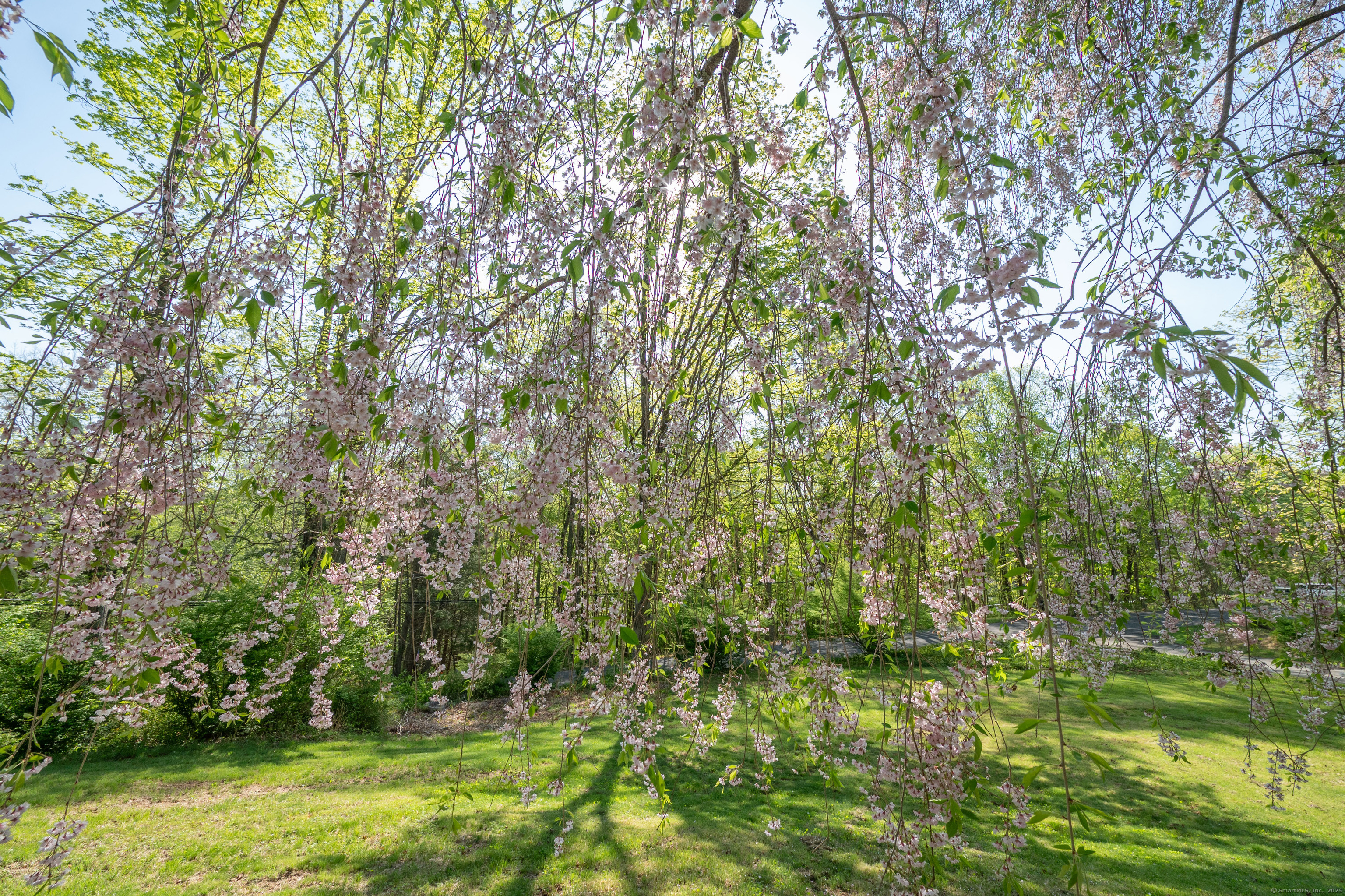 103 Squash Hollow Road, New Milford, Connecticut image 21