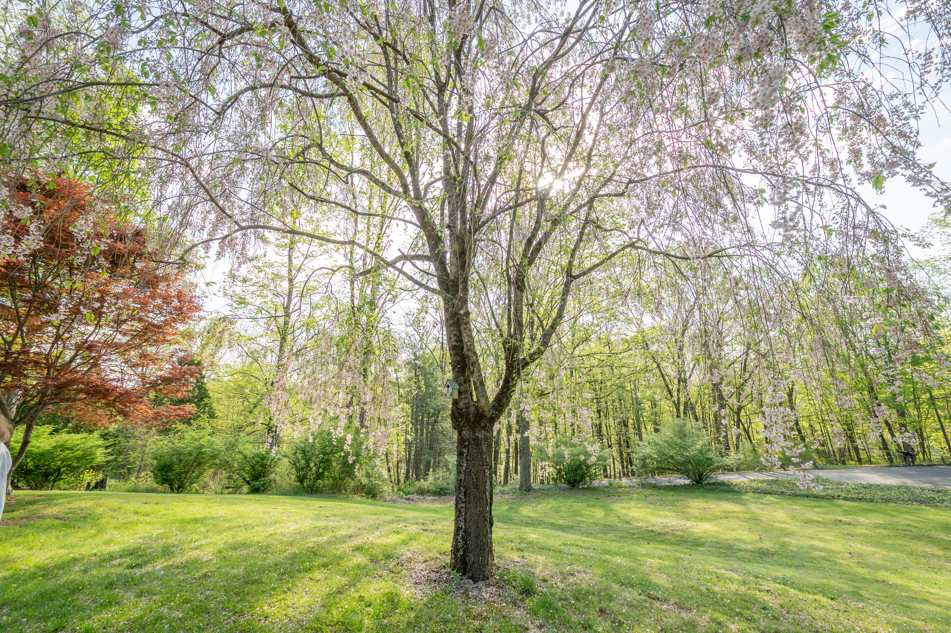 103 Squash Hollow Road, New Milford, Connecticut image 20
